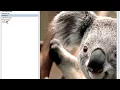 How to View Image from Path Window in Java Netbeans