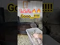 Download Lagu friedfish #shortvideo #viralshort #viral #cooking #comment #reels #skills #feedshorts