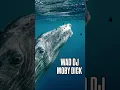 Download Lagu WAD DJ - MOBY DICK (WADGANG Radio Show Summer Live Session Edit)