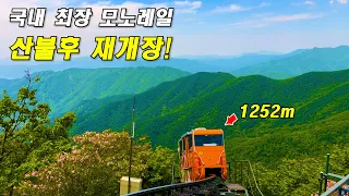 “1252m오르는 역대급 모노레일 재개장 - 정상까지 편하게 가요” 한국에 이런곳이/ 당일치기 여행 썸네일