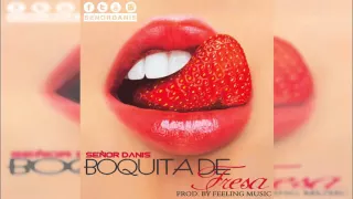 Señor Danis - Boquita de Fresa (Audio Oficial)