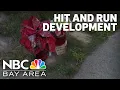 Grieving roommate now prime suspect in deadly San Jose hit and run