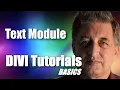 DIVI Theme Tutorial for Beginners - DIVI Text Module