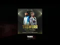 Download Lagu Mandojo \u0026 Domokaya - TASWIRA