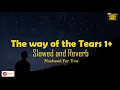 Download Lagu The Way Of The Tears (Slowed + Reverb) [1 hr]