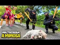 Lagu BATERAM NA NOSSA CACHORRINHA *A Mimosa está bem ?