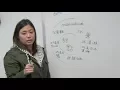 Inside a language immersion school