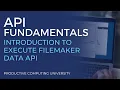 API Fundamentals for FileMaker Developers - Introduction to Execute FileMaker Data API