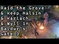 How to Raid the Grove and Keep Halsin Wyll Karlach in Baldur s Gate 3 Also Romance Minthara