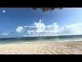 8 HOURS 🌊 Caribbean Ocean Sounds for Deep Sleep & Relaxation | Crystal Clear Jamaica Beach 🇯🇲
