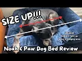 Where Did the Sleeping Space Go NOAH PAW Orthopedic Dog Bed Review
