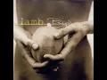 Lamb Angelica