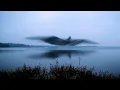 Nature s Mystery Watch the Hypnotic Dance of a Starling Murmuration