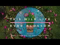 Download Lagu This Wild Life -  What If I Said That You Didn't Have To Stay (Official Audio)