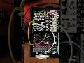 Download Lagu Rhythm Mode on Gamut Repetitor | Noise Engineering #shorts