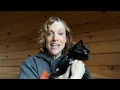 Coming Together for Animals in Need