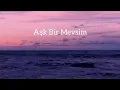 Pinhani-Aşk Bir Mevsim (sözleri)