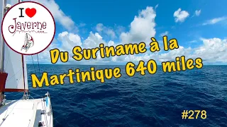 #278 Du Suriname à la Martinique 640 miles