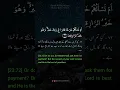 Download Lagu Surah Al-Mu'minun - Mishary Rashed Alafasy | Verses  71-73  #islam #quran #surah #viral