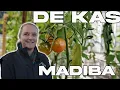 Lagu Kas en Winkel Madiba | Waar kas, creativiteit en ontmoeting samenkomen