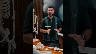                                                                                                      دندنها