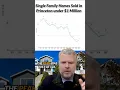 Single-Family Home Sales in Princeton Trends and Challenges