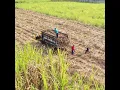 Download Lagu Sedang Berjuang - Suci Arshinta