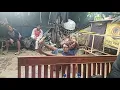 Download Lagu Begini cara latihan singa dangdut