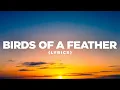 Download Lagu Billie Eilish - BIRDS OF A FEATHER (Lyrics Cover) | Pop Mage