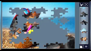 Funny Beach Dog Jigsaw Puzzle Relaxing Summer Puzzle Challenge