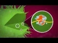 How antibiotics work