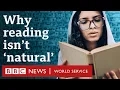 Lagu How reading changes the way your brain works - BBC World Service