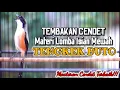 Download Lagu PANCINGAN CENDET MATERI LOMBA FULL TEMBAKAN TENGKEK BUTO AMPUH BUAT MASTERAN CENDET PASTOL