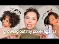 Here s how to ACTUALLY grow out your curly pixie