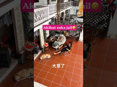 Niat majikan ingin mengerjai tapi malah😂