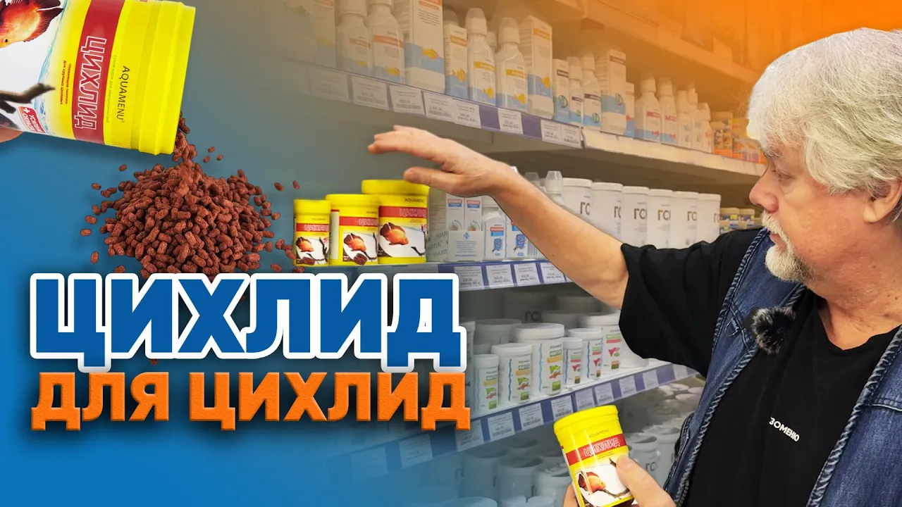 Аквариумные истории из ЭКЗОМЕНЮ (26.12.2025). Цихлид для цихлид.