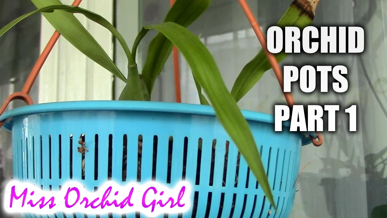 CHOOSING ORCHID POTS PART 1 POTS SUITED FOR ORCHIDS