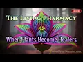 The Living Pharmacy Reconnecting with Nature s Healing Wisdom
