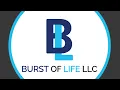 Burst of Life LLC - Neo Accelerator