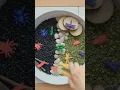 Jumbo Insect DIY Sensory Bin Adventure for Kids Learning Resources