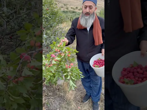 Erzurumlu hacı sizi çağırıyor osmanlıtorunuyuz 1453🇹🇷👆🏼 #erzurum #food #yemek #türkiyem 😎🩵❤️👌