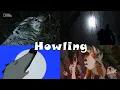 Howling Compilation By DLX