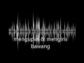 sound effect mengupas \u0026 mengiris bawang