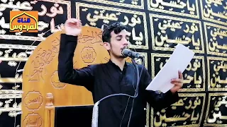 عليله وماخذوني للسفر     الرادود حسن حيدر دندنها