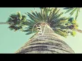 SNBRN - California Love ft. Kaleena Zanders | Free Download