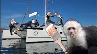 Monkey Business! – Onboard Lifestyle ep.308