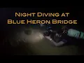 Night Diving at Blue Heron Bridge Exploring West Palm Beach Underwater