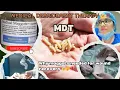 Download Lagu DISCOVER THE BENEFITS OF MAGGOTS IN WOUND CARE ।। MAGGOTS DEBRIDEMENT THERAPY ।। 