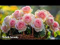 Download Lagu Веселитесь🌺Сборник ЛУЧШИХ мелодий для сердца🌿Великолепная музыка, Сергей Грищук