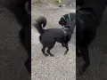 Yona and Trip at the River